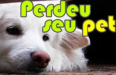 PERDEU seu Pet (cão/gato) ?