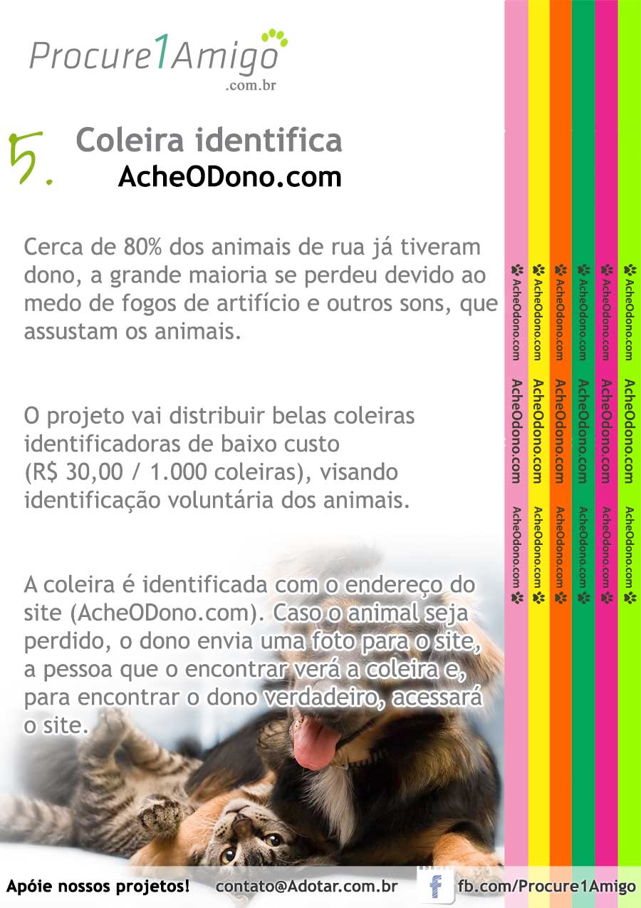 Nossos projetos para salvar os animais